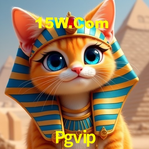 PIX Instantâneo Pgvip